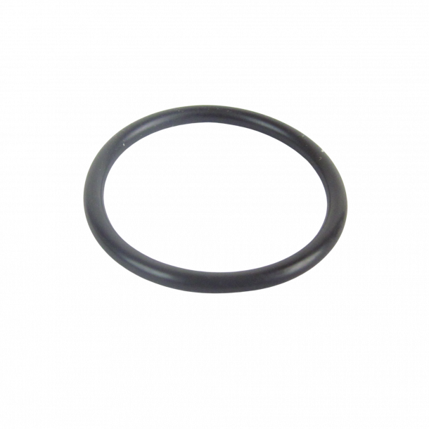 (26+42) Dellorto O-ring til bunnskrue