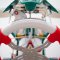 Tony Kart Racer 401RR