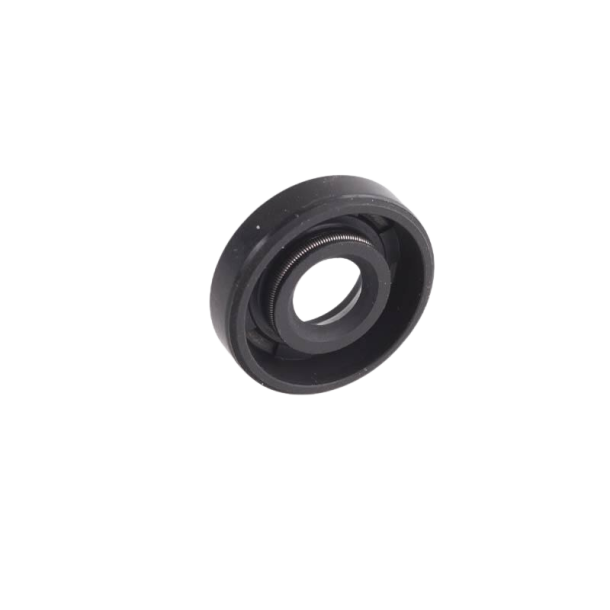 (12) Rotax simring 10x26x7