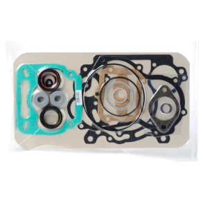 (46) Rotax DD2 pakningssett 