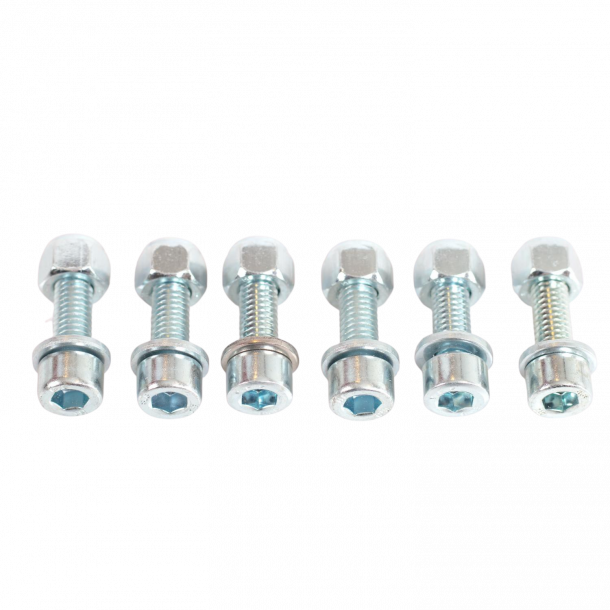 6 stk M6 unbrakoskruere (Unbrako er 20mm lang) med lsemuttere og skiver til drev