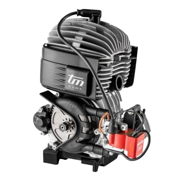 TM Kart Mini 3B motor (Selettra)