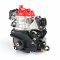 Rotax Max EVO senior motor (SHORTBLOCK) 