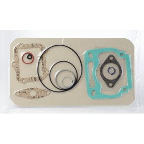 (38) Rotax pakningsett til sylinder