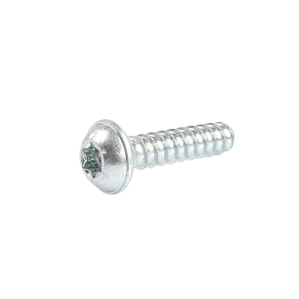 (16) Rotax DD2 6x25mm skrue til tenningskutt 