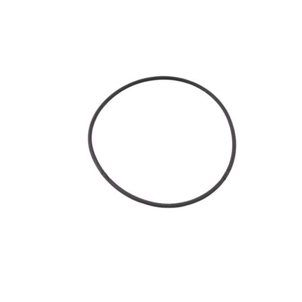 (8) IAME Parilla X30 O-ring til topp, stor