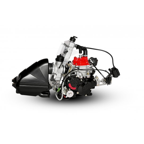Rotax Max EVO senior motor 