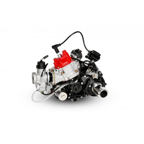 Rotax MAX EVO DD2 motor