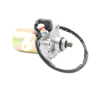 (169) Vortex ROK GP startmotor