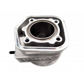 (13A) IAME Parilla X30 sylinder