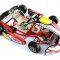 DR Racing Kart Mini-20 med MK20 plast