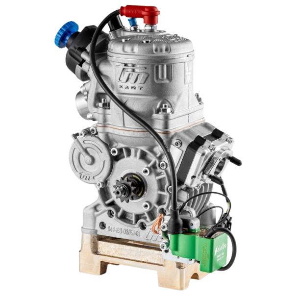 TM Kart S3 OK motor (Selettra)