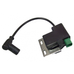 Rotax Max coil 09-14