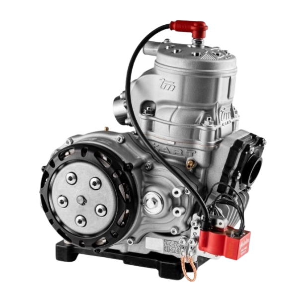 TM Kart KZ-R2 standard motor (Selettra)