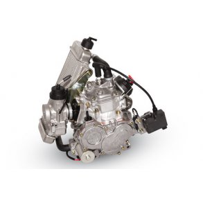 Rotax Max FØR-EVO